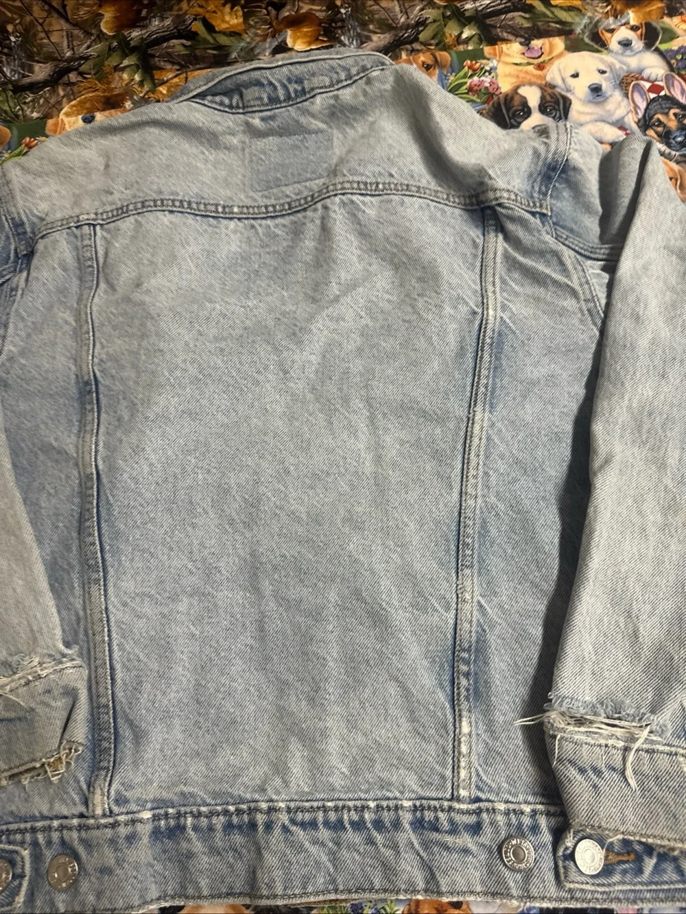 Levis authentic levi